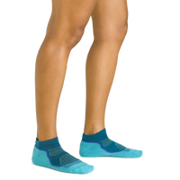 Darn Tough 1986 Light Hiker No Show Lightweight with Cushion - Women's